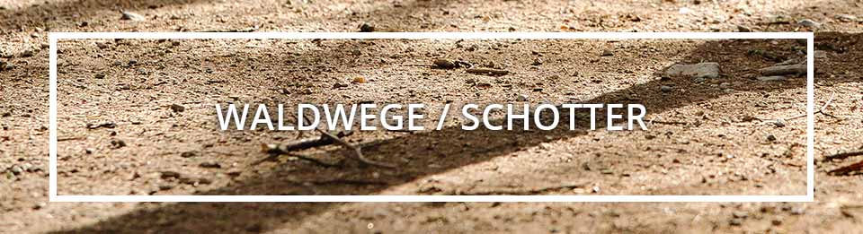 ASICS Laufschuhe für Waldwege und Schotter