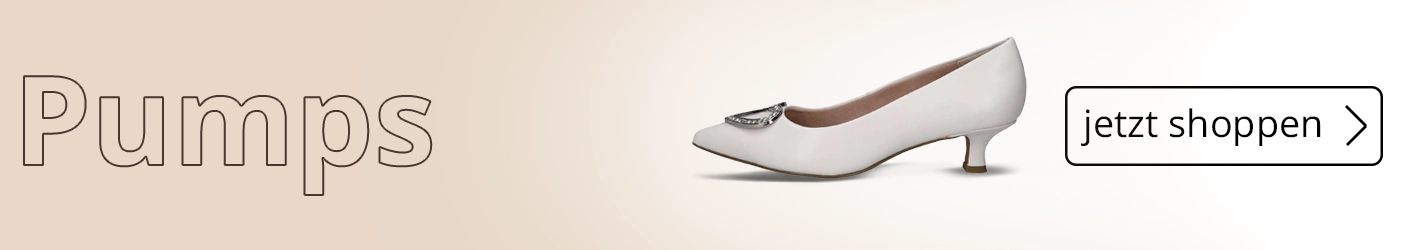 Damen Pumps