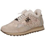 Cetti Sneaker Damen beige günstig online kaufen