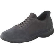Geox Sneaker Herren grün|grün günstig online kaufen