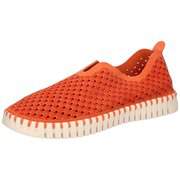 Ilse johnson cheap shoes