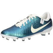 Nike Legend 10 Academy FG 30 Herren grün|grün|grün|grün|grün günstig online kaufen