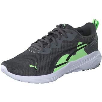 Icon 2024 idp puma