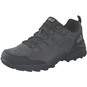 Jack Wolfskin MTN Goat Low M Outdoor  grau