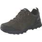 Jack Wolfskin MTN Goat Low M Outdoor  grün