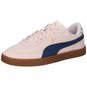 PUMA Club II Era Suede Sneaker  beige