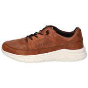 Bugatti Sneaker Herren braun|braun|braun günstig online kaufen