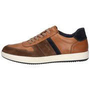 Lloyd Bosco Sneaker Herren braun günstig online kaufen