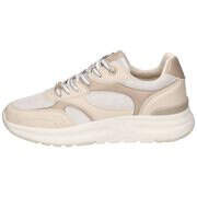 MEXX Sneaker Bijou Damen beige günstig online kaufen