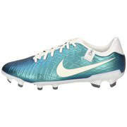Nike Legend 10 Academy FG 30 Herren grün|grün|grün|grün|grün günstig online kaufen