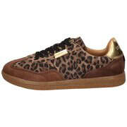 Steve Madden Emporia Sneaker Damen braun günstig online kaufen