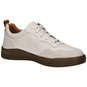 Josef Seibel SNEAKER BRAUN CLEVE - Sneakers basse - castagne/marrone