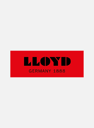 Business Schuhe von Lloyd